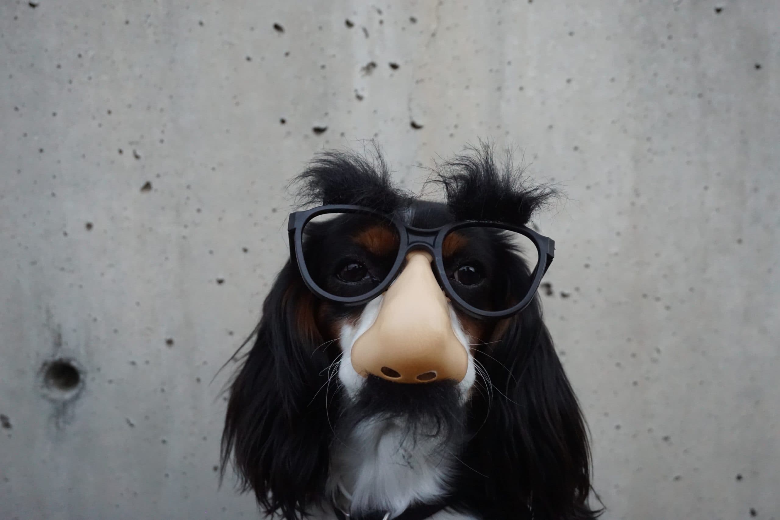 How Process Servers Use Disguises to Serve You
